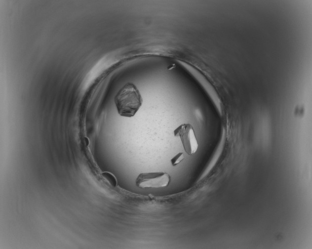 X0000113620198200910091539