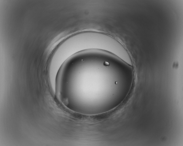 X0000113620199200910091539