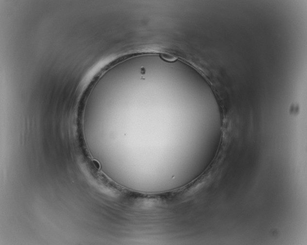 X0000113620200200910091539