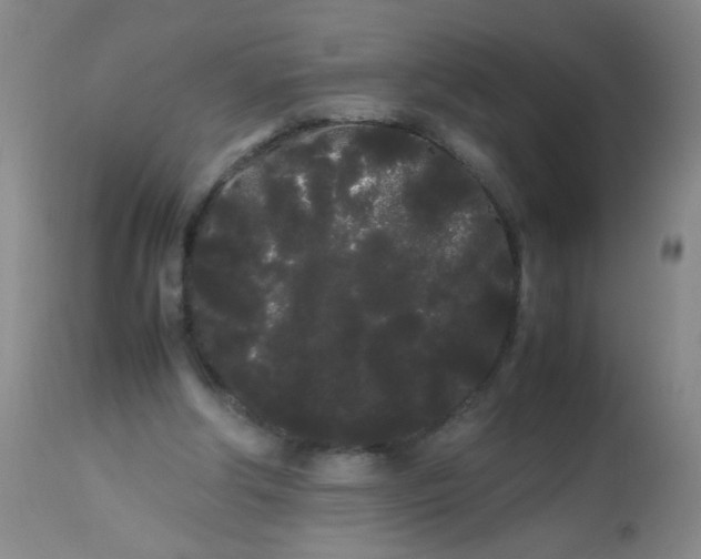 X0000113620202200910091539