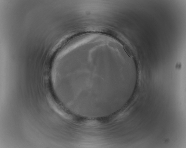 X0000113620203200910091539