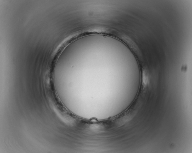 X0000113620204200910091539