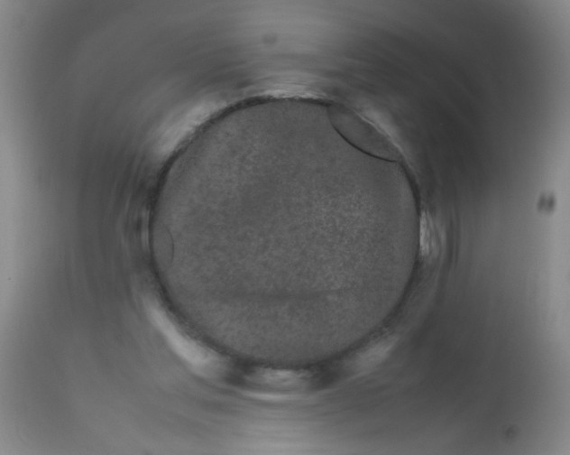 X0000113620205200910091539