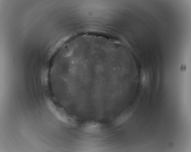 X0000113620206200910091539