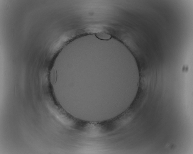 X0000113620207200910091539