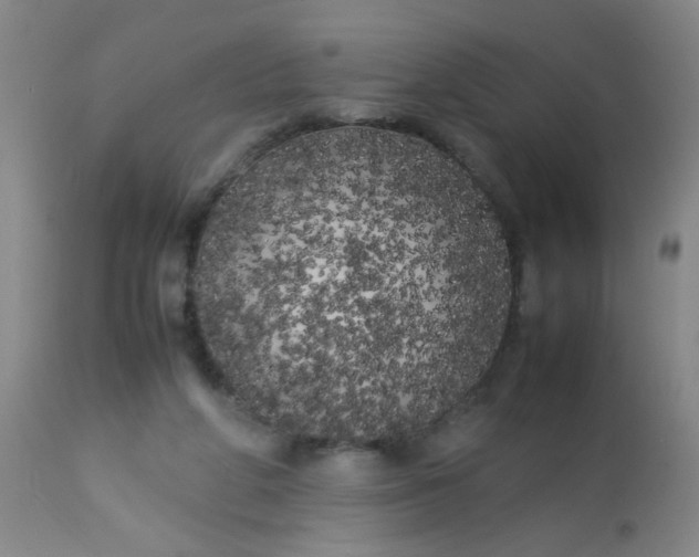 X0000113620210200910091539