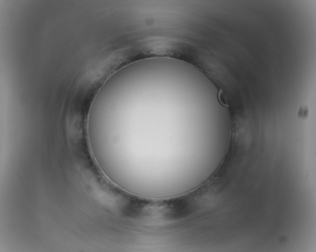 X0000113620213200910091539