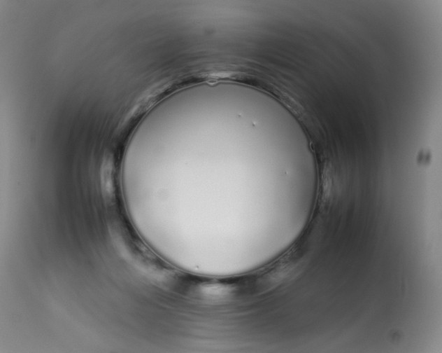 X0000113620216200910091539