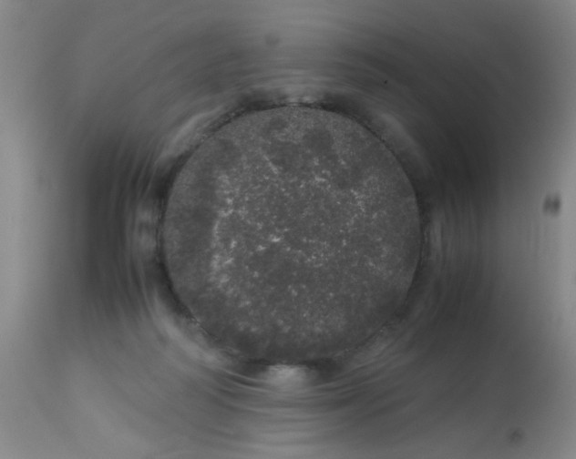 X0000113620218200910091539