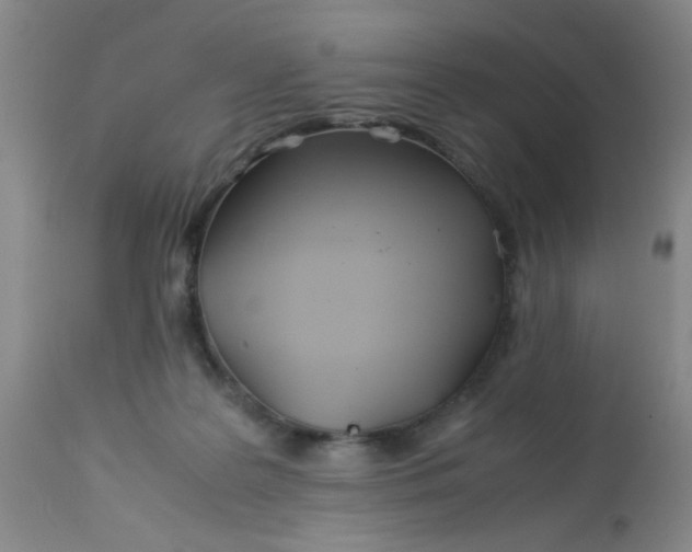 X0000113620219200910091539