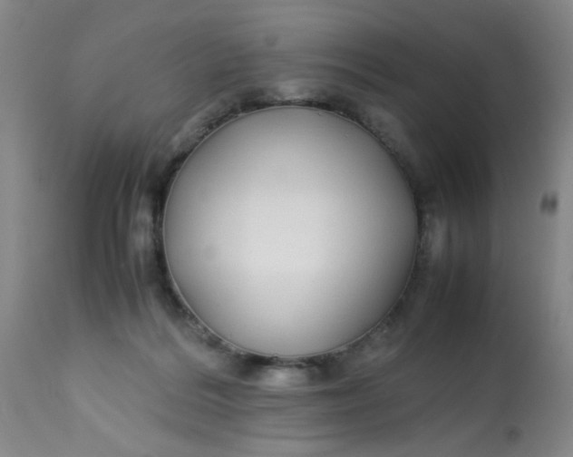 X0000113620220200910091539