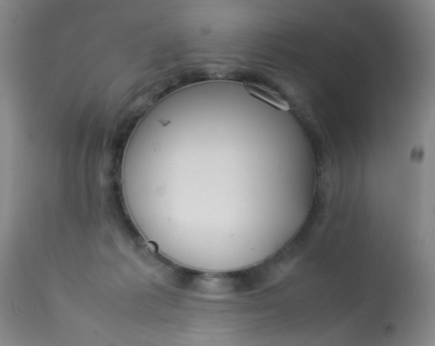 X0000113620221200910091539