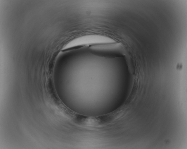 X0000113620223200910091539