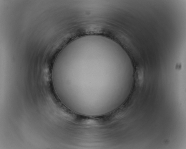 X0000113620224200910091539