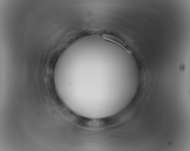 X0000113620225200910091539