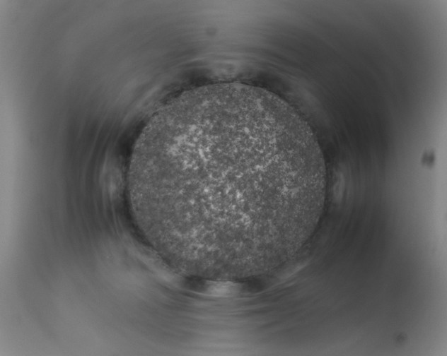 X0000113620226200910091539