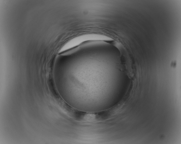 X0000113620227200910091539