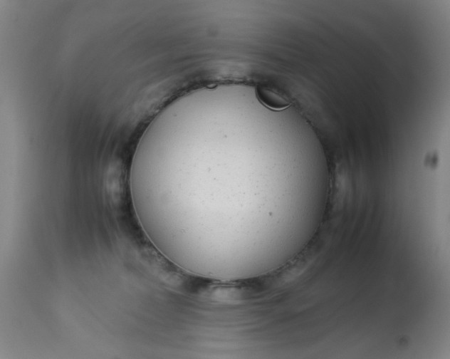 X0000113620228200910091539