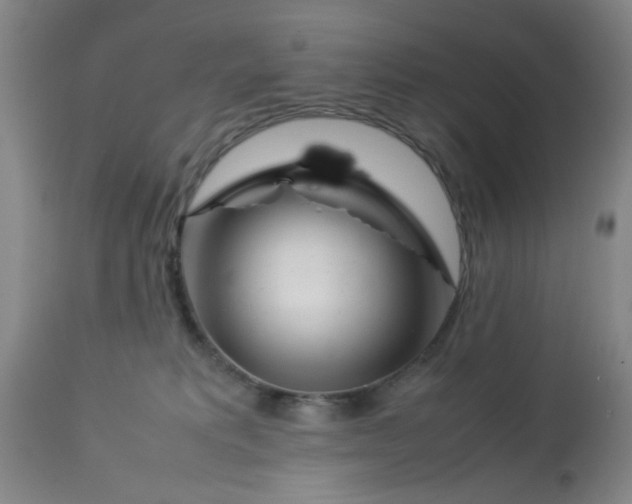 X0000113620229200910091539