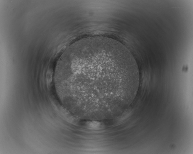 X0000113620230200910091539