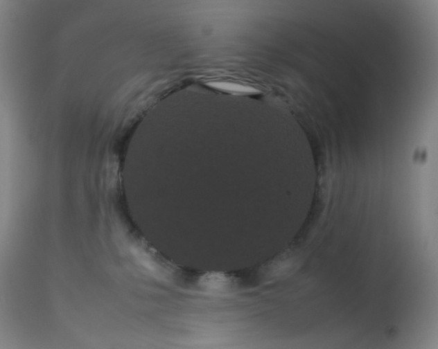 X0000113620231200910091539