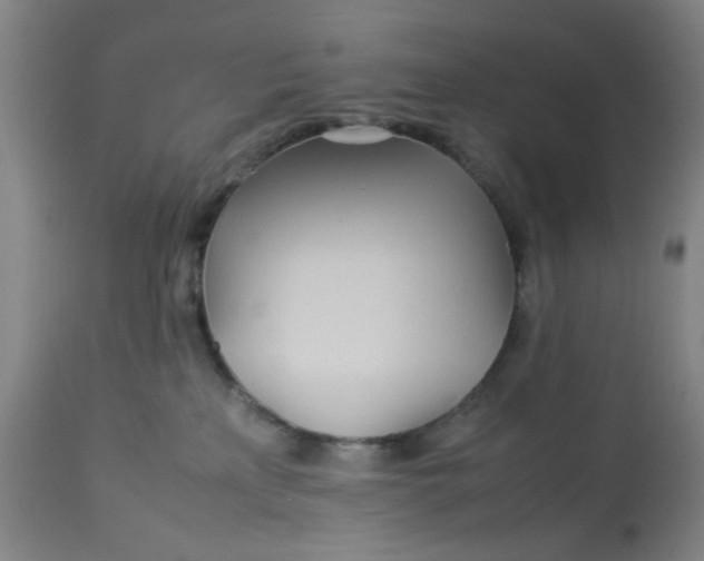 X0000113620233200910091539
