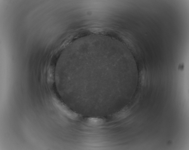 X0000113620234200910091539