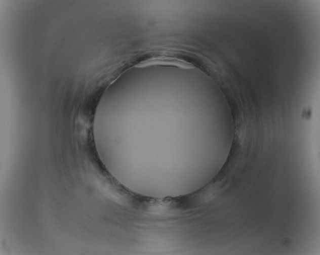 X0000113620235200910091539