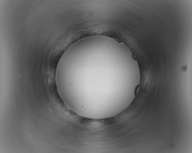 X0000113620236200910091539