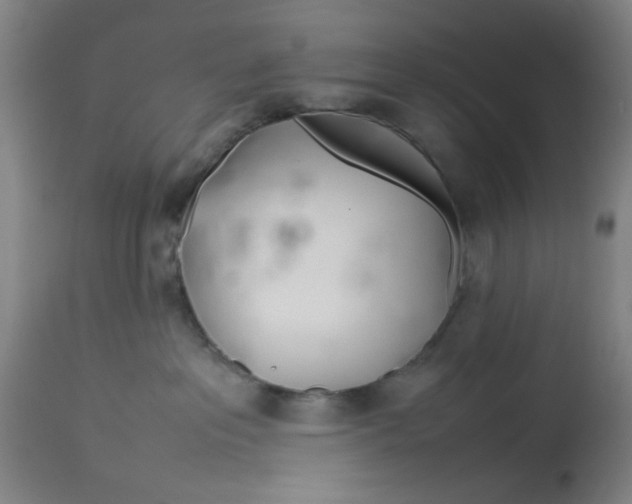 X0000113620237200910091539