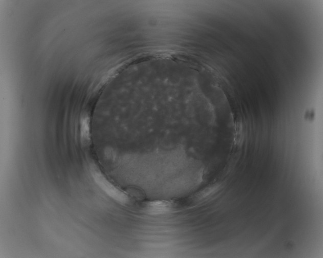 X0000113620238200910091539