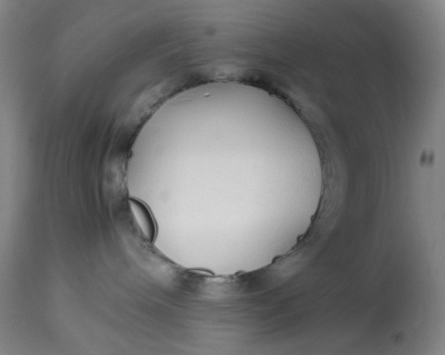 X0000113620240200910091539