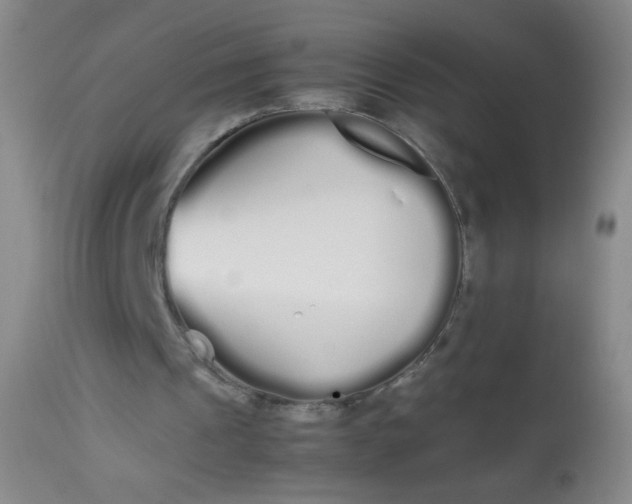 X0000113620241200910091538