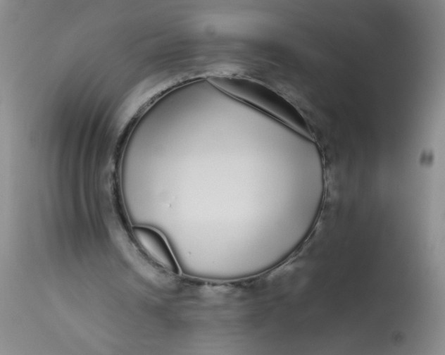 X0000113620242200910091538