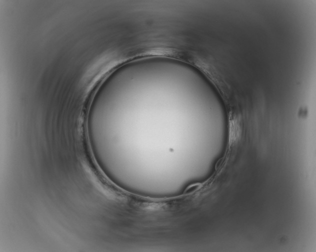 X0000113620243200910091538
