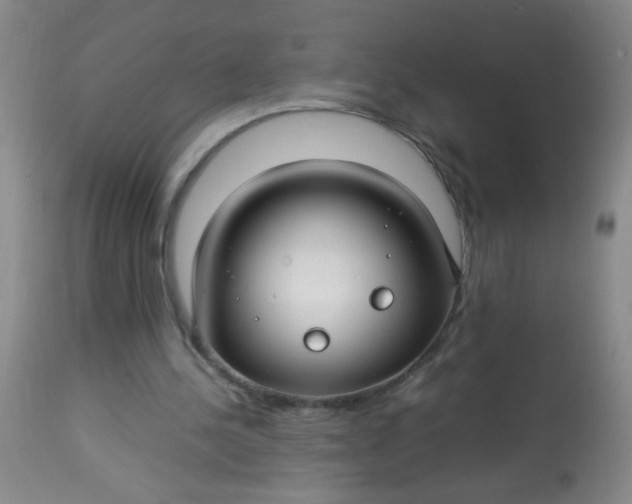 X0000113620244200910091538