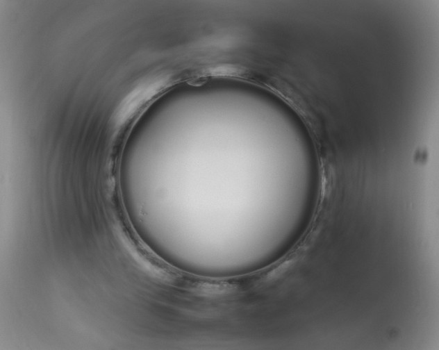 X0000113620245200910091538