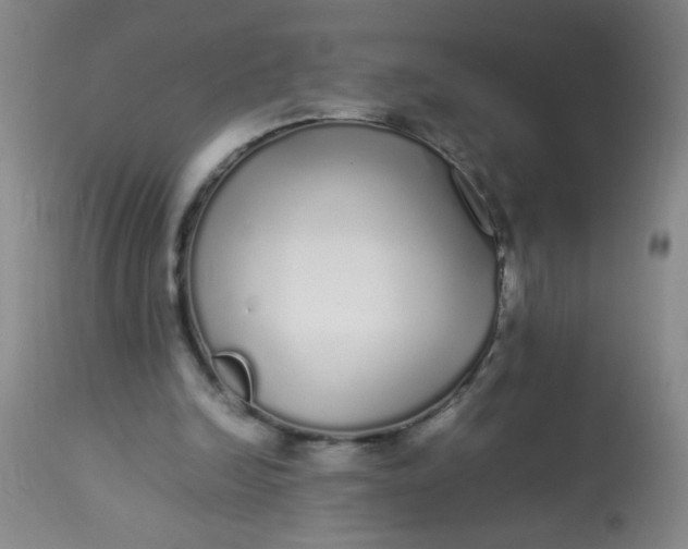 X0000113620246200910091538