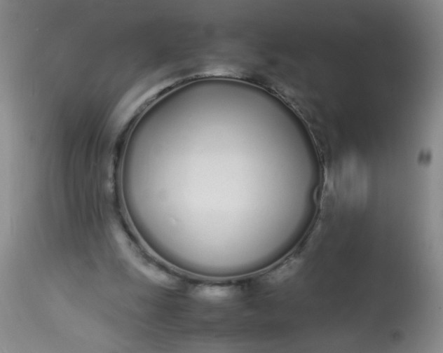 X0000113620247200910091538