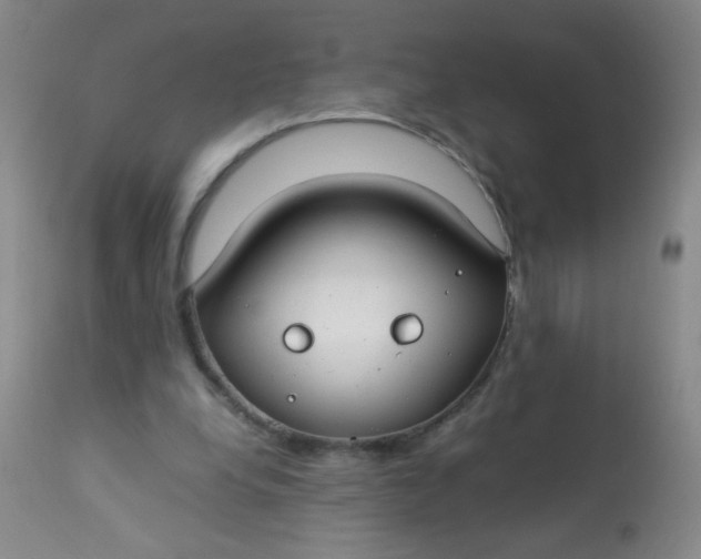 X0000113620248200910091538