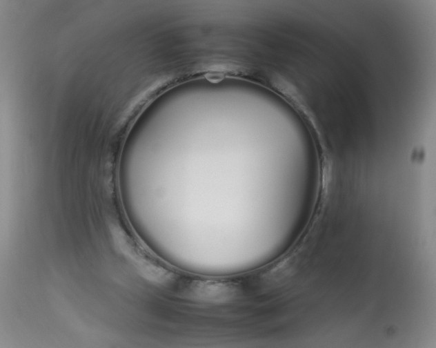 X0000113620249200910091538