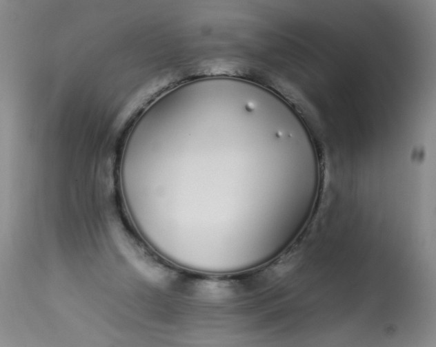 X0000113620250200910091538