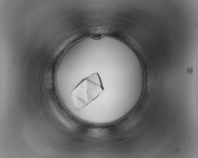 X0000113620251200910091538