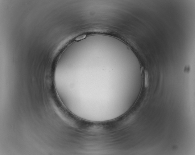 X0000113620252200910091538