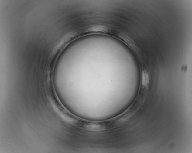 X0000113620253200910091538