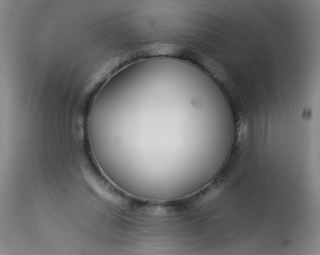 X0000113620254200910091538
