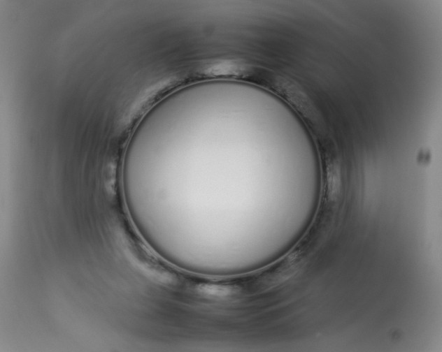 X0000113620255200910091538