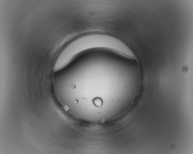 X0000113620256200910091538