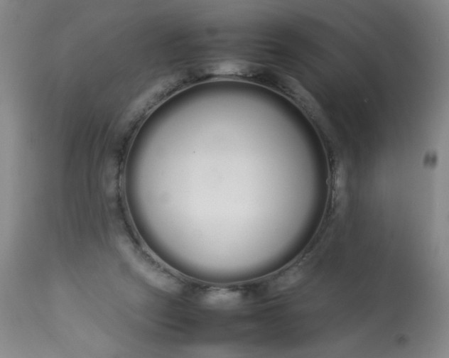 X0000113620257200910091538