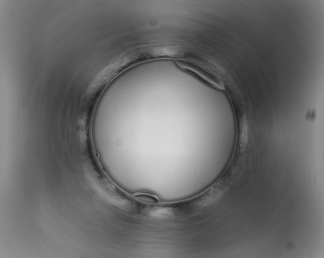 X0000113620258200910091538